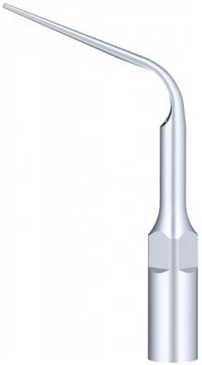 Woodpecker Tip P10 (EMS)