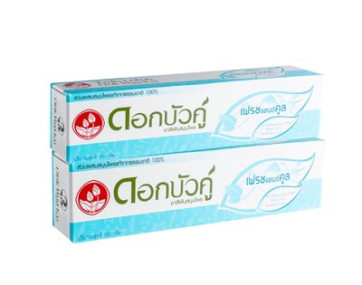 Twin Lotus Fresh&Cool zubní pasta 2x150 g