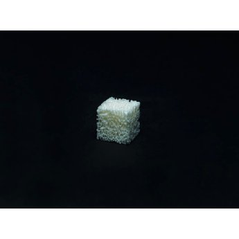 BIO-GEN blok spongiosy, 10x10x10 mm