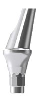 MEGAGEN BD Angled Abutment ø5.0