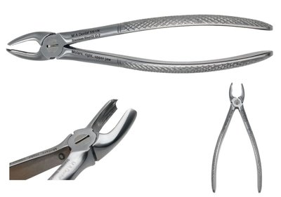 Kleště molárové, pravé, horní