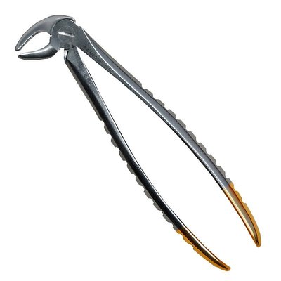 Kleště diamant vel.13 spodní špičáky a premoláry