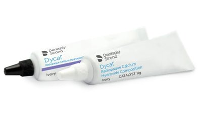 Dycal dentine 24 g (623802)