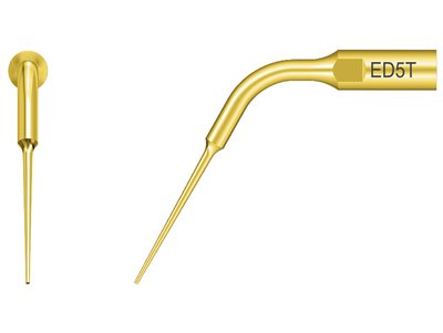 WOODPECKER E5T - Endodontics