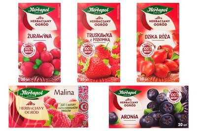 Herbaciany ogród Herbapol - aronia