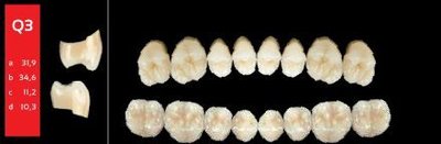 Ref-Line Posterior BL3 Q3 horní zuby