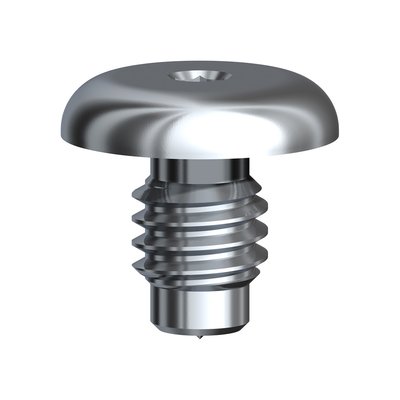 Cover Screw Branemark System® WP