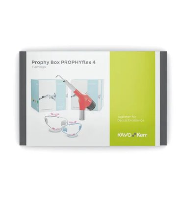 Prophy Box PROPHYflex 4 Flamingo