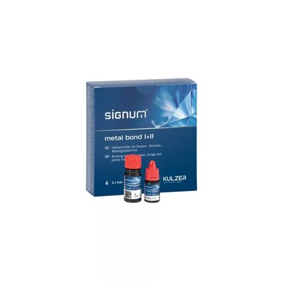 Signum Metal Bond Set I+II. System łączący do podbudów metalowych Kulzer