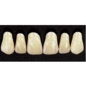 Zuby Cross Linked 2 - frontální 6 ks