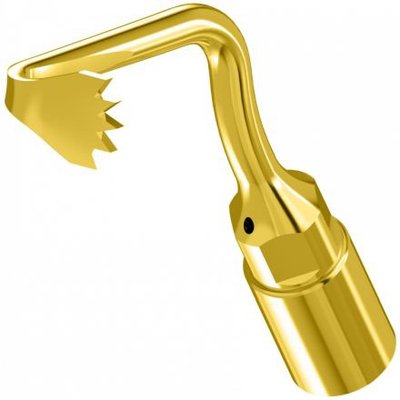 Woodpecker Tip US1L