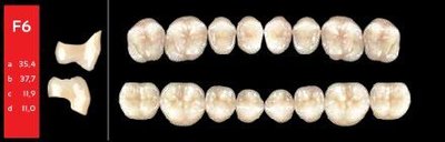 Ref-Line Posterior BL1 F6 dolní zuby