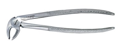 Kleště vel.24 spodní molárové, levé