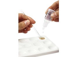 GC Initial™ IQ Lustre Pastes ONE