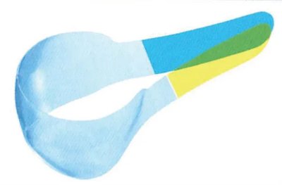 Matrice transparentní na moláry 50ks