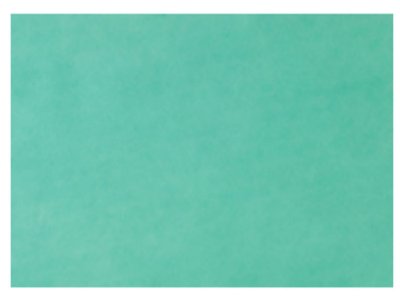 EURONDA Monoart Papírové podložky na tácy 250ks 280x180mm, zelené (205004)