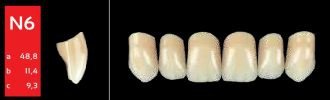 Ref-Line Anterior B1 N6