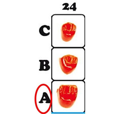 Fazetove prvky 24A - 12.6039