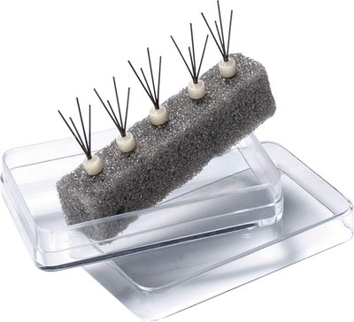 HeraCeram® Press Fächerpin