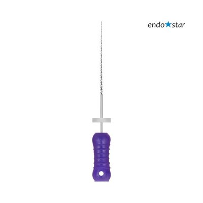Endostar K-File 10 fialové 25mm, 6ks