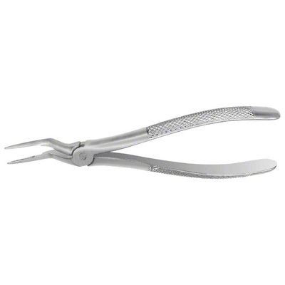 Forceps #97 Europ. SM Roots, EU