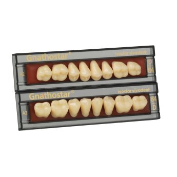 ZUBY GNATHOSTAR A-D UD82 C2