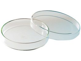 Petrischalen - Stück dreigeteilt, Ø 100 mm, ca. 23 mm hoch