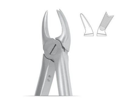 Forceps #89 Europ. SM 1-2 Molar