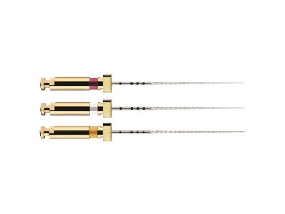 PathFile - strojové NiTi kořenové nástroje, 21mm 013