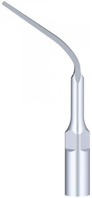 Woodpecker Tip P6 (EMS)