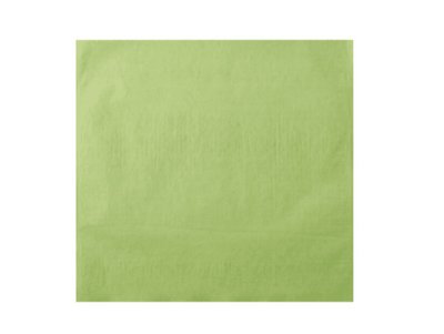 EURONDA Monoart návlek na podhlavník, 28x30cm 250ks zelený