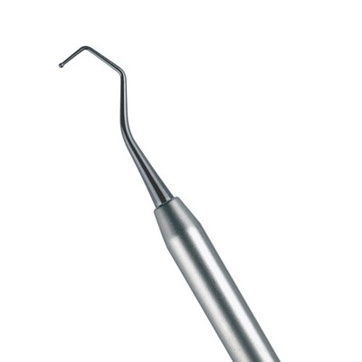 Burnisher Kotschy #1