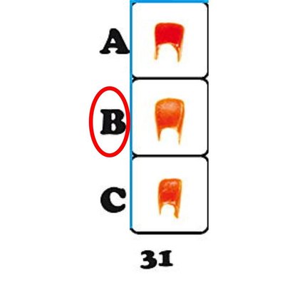 Náhled 2
