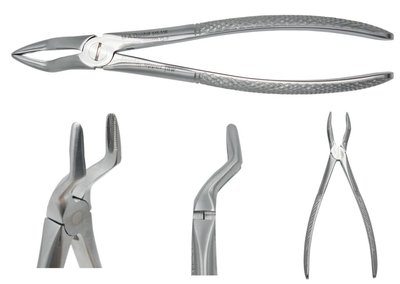 Kleště kořenové, horní