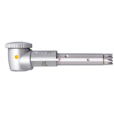 INTRA EVA HEAD L61 R