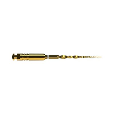 ProTaper Ultimate SX 19mm 6ks
