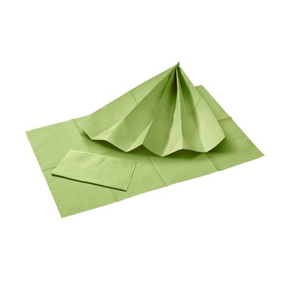 Akzenta Smart One 2-Ply Fresh Green jednorázový bryndák 50 ks