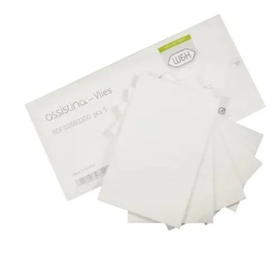 W&H Assistina 301 filtr filcový 20ks