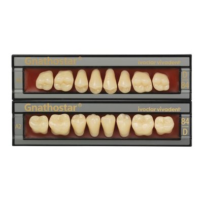 Gnathostar horni D84-1A 8 ks