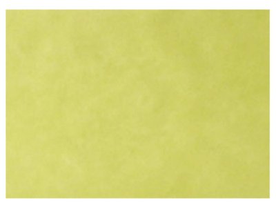 EURONDA Monoart Papírové podložky na tácy 250ks 280x180mm, žlutozelené (205012)