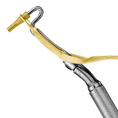 Amalgam Carrier, medium/distal