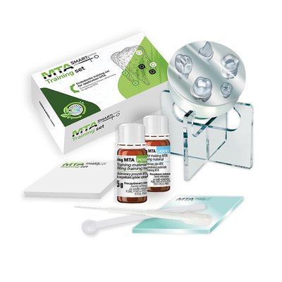 mta training tooth prvni stolicka 2633 101 pcl W ZZI