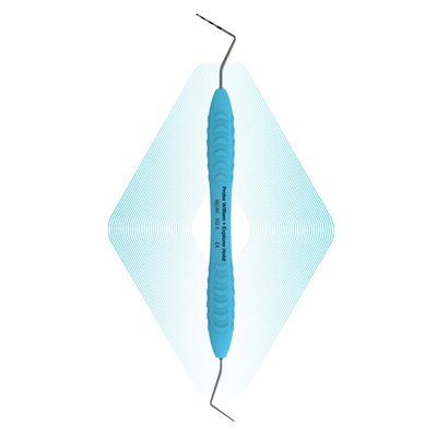 Sonda William + Explorer Holst