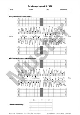 Erhebungsbogen PBI/ API