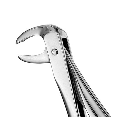 Forceps #73 Europ., IM Molar