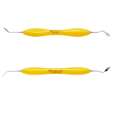 LM-Arte Solo Anterior 431-433XSI/431-433ES - 431–433XSI