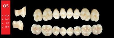 Ref-Line Posterior A3 Q5 horní zuby