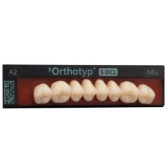 ZUBY SR Orthotyp S DCL C2 N3U horní 8ks