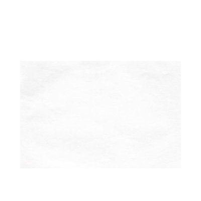 Euronda Tray Paper 28x18 cm - 250 ks bílý