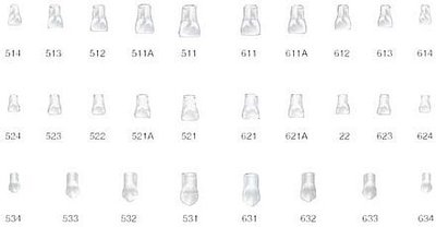 Pedo Strip Crowns korunky 512